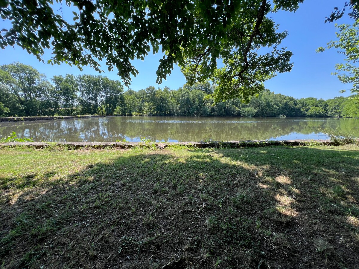 Lac privé vu depuis la rive en été