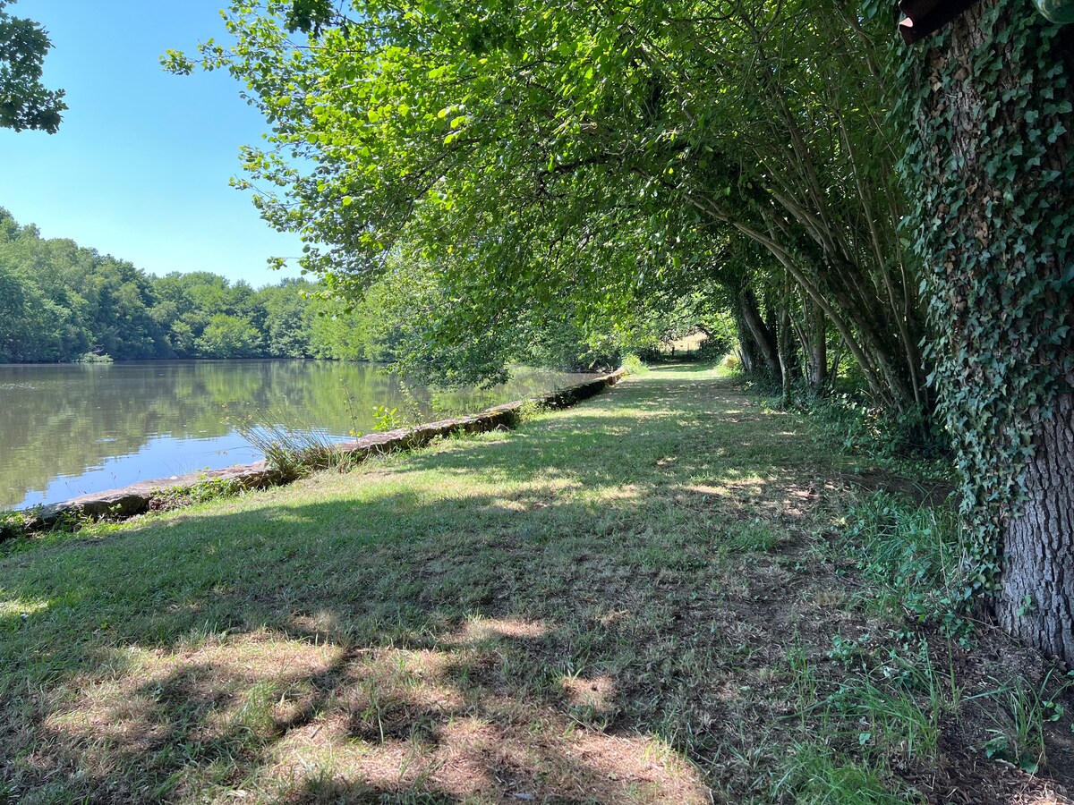 Rive du lac sous les saules