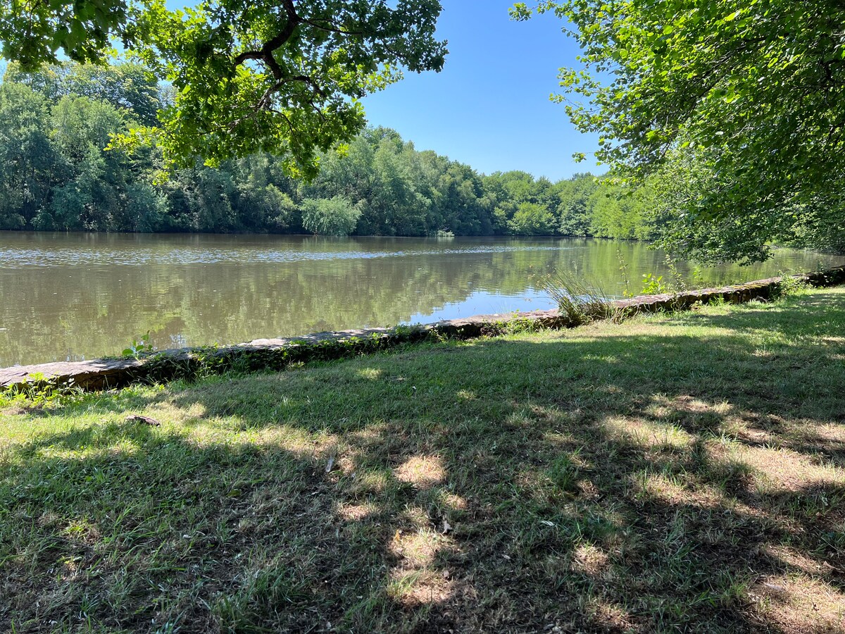 Rive du lac ombragée en été