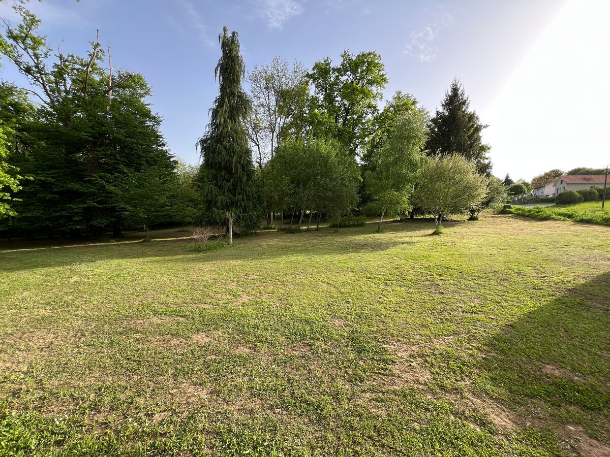 Parc verdoyant, vue panoramique